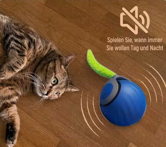 Magischer , aktiver Rollball  für Hund , Katze und andere Haustiere